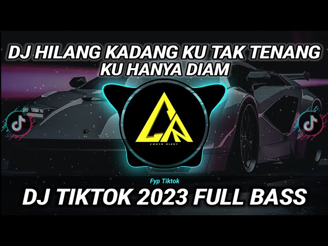 DJ HILANG KADANG KU TAK TENANG KU HANYA DIAM - MALAM PAGI REMIX  VIRAL TIK TOK 2023 class=