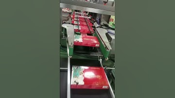 40W Online Flying CO2 laser marking machine batch date code on carton package box with Plastic film