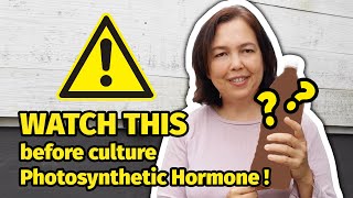 Watch this before culture Photosynthetic Hormone!!