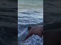 Eles Não Esperavam Por Isso 😂 #amazing #amazingshorts #funny #funnyshorts #funnycomedy #funnyvideos