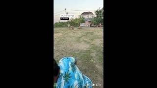 Siaran langsung jenengku hadi