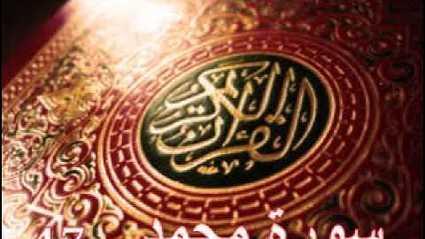 سورة محمد - ناصر القطامي | Surah Muhammad  - Nasser AL-Qatami