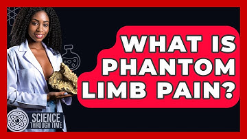 What Is Phantom Limb Pain? - Science Through Time