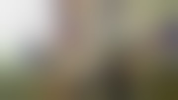 How to build a 120W Raptor Box Mod: Part 1