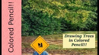 Drawing Trees in Colored Pencil-Demo