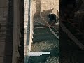 Concrete Staircase Pouring Using Wooden Formwork