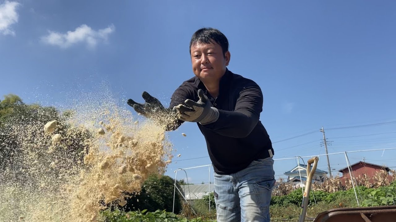 米ぬかだけ畑に撒いたら虫が大発生？爆発しないでゆっくり効かせる事が肝心です！【園長おすすめ簡単な土作りブレンド農法】23/9/13