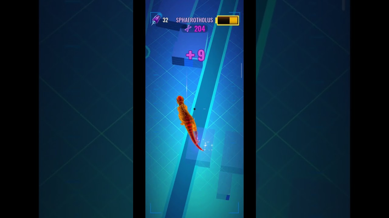 Rare SPHAEROTHOLUS darting video!!!  