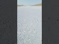 لبيك اللهم لبيك