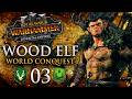 WOOD ELVES AGAINST THE WORLD IN A FINAL RACE FOR TOTAL CONQUEST!