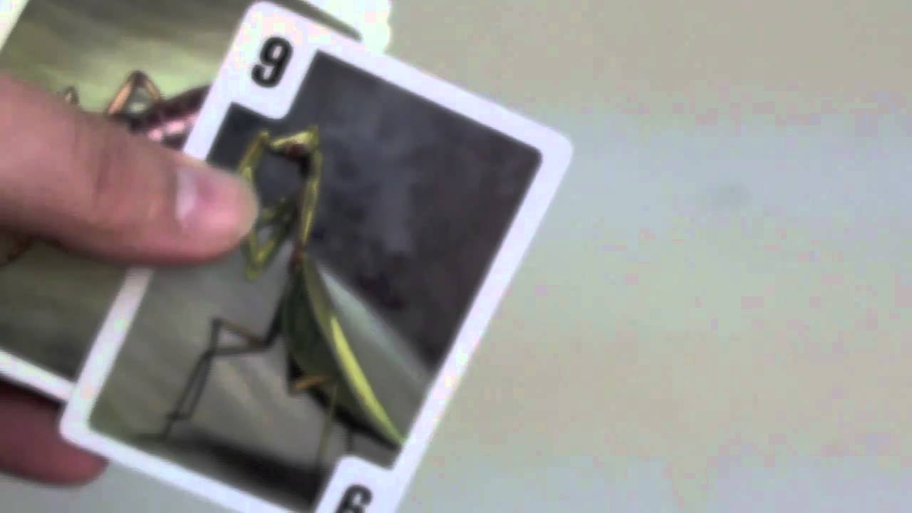 Bugs Review - with Tom Vasel