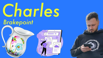 Charles Proxy. Breakpoints