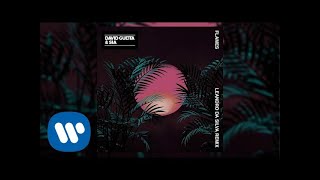 Смотреть клип David Guetta & Sia - Flames (Leandro Da Silva Remix)