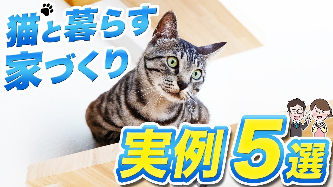 実例で解説】猫と暮らす家づくり！愛猫と快適に住むための工夫5選 