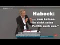 Zusammenfassung. Brillante Rede Alice Weidel heute im Bundestag! (Mit Eklat…)