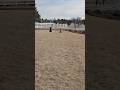 Retriever Training