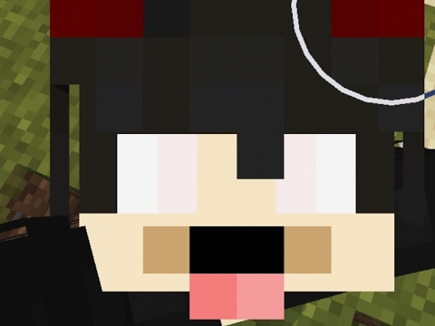 mine pe