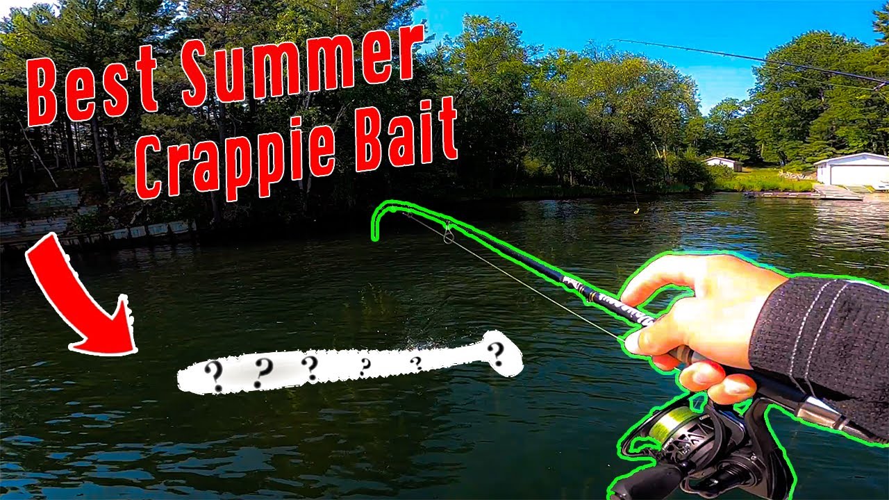 SIGHT FISHING for Northern Wisconsin Summer Crappies (NON-STOP ACTION!) 