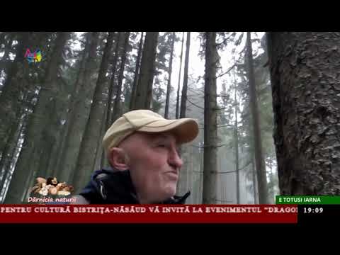 Dărnicia naturii - E totuși iarnă Dărnicia naturii - E totuși iarnă