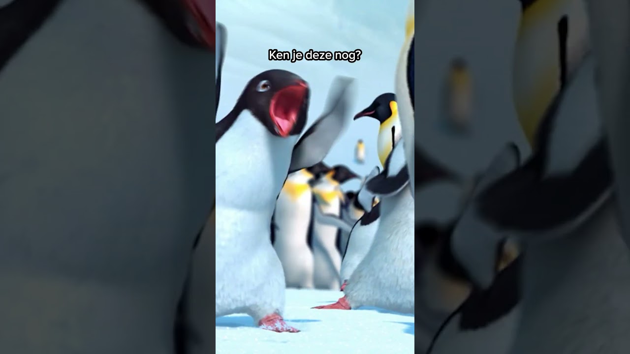 Boogie Wonderland 🐧💃 #happyfeet