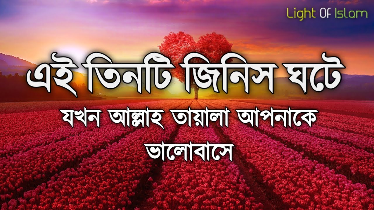 কীভাবে বুঝবেন আল্লাহ তায়ালা আপনাকে ভালোবাসে♥ তিনটি আলামত |3 Things Happen When Allah Loves You