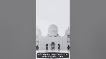 ما تيسر من سورة الكهف - أ.زياد الصاعدي