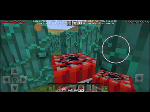 მაინკრავტის ვიდეო