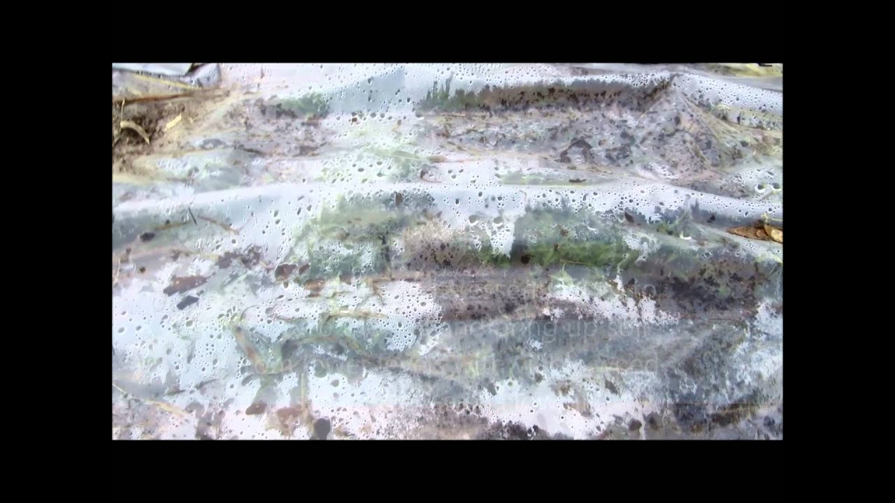 Solarizing part 2 - YouTube