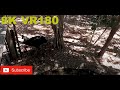 8K VR180 3D Cassowaries at Dreamworld large deadly flightless bird (Travel videos, ASMR/Music 4K/8K)