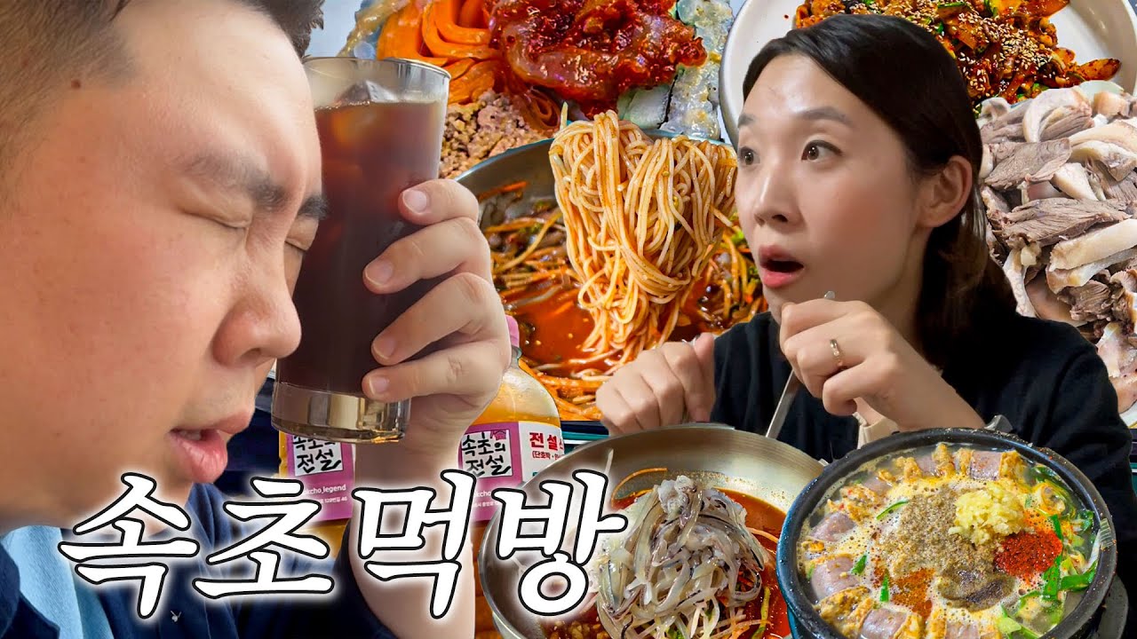 속초 당일치기 출장..인 척 하는 먹방