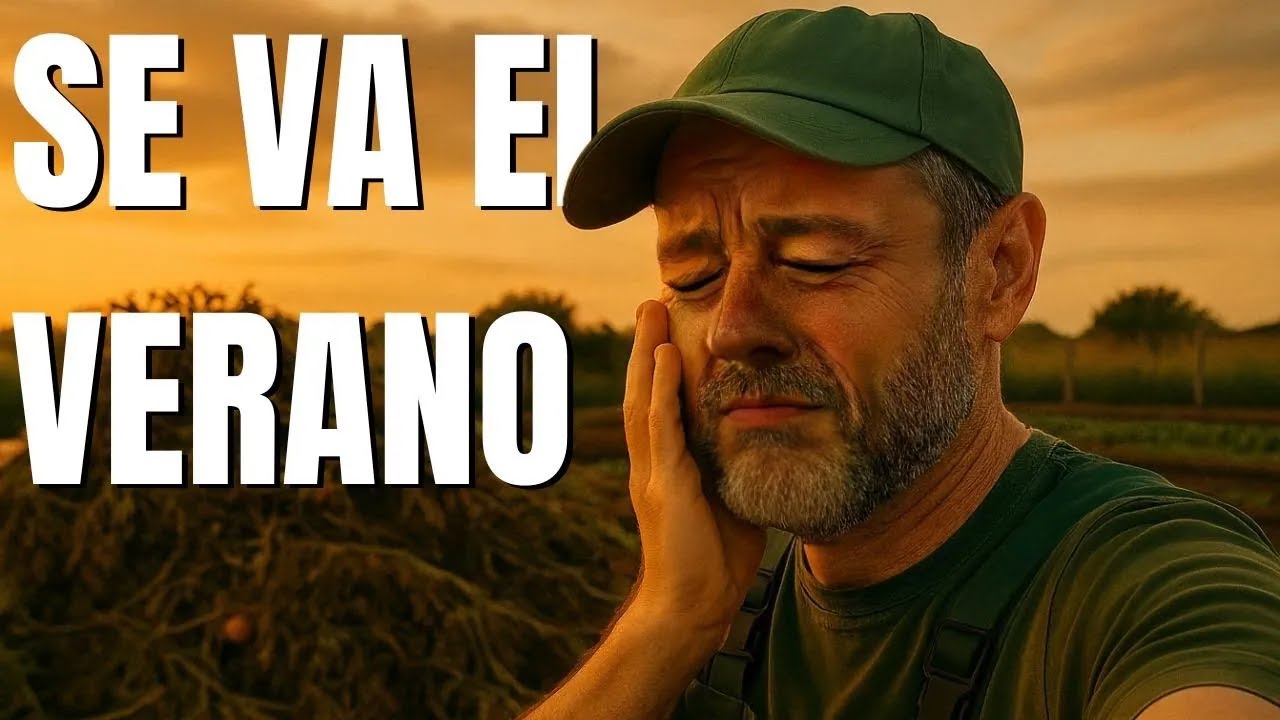 Transformando el huerto  del verano al otoño   La Horteta de Bussy