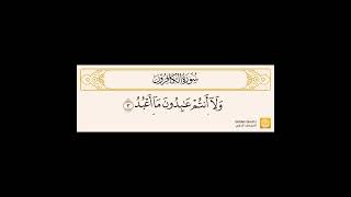 سورة الكافرون ناصر القطامي