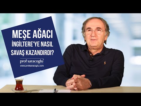 Video: Kutsal meşe ağacı neye benziyor?