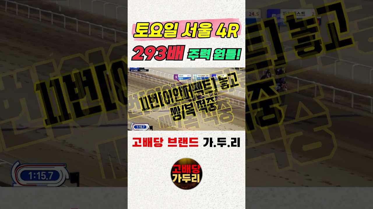 경마 고배당 마필이 궁금해???🎯경마🐎 경마예상🟢 경마 고배당🟢 서울경마🟡부산경마🔵제주 경마🎯고배당 가두리🐎 경마 고배당 적중