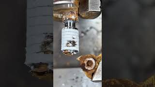 👉 Amazing Wood Turning Process on Lathe Machine! 😲🪵 ✅ #woodturning