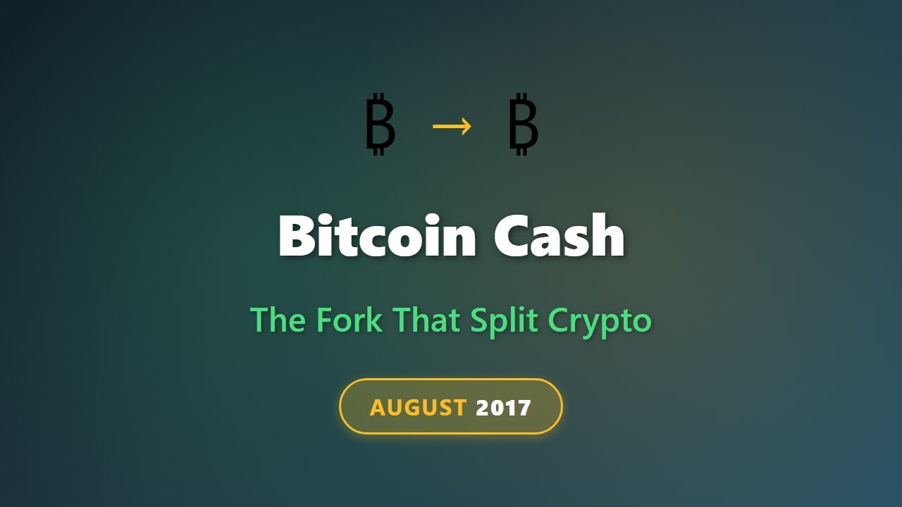 Bitcoin Cash Explained: The 2017 Fork That Split Crypto | BCH vs BTC