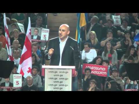 ნიკა მელიას სიტყვით გამოსვლა