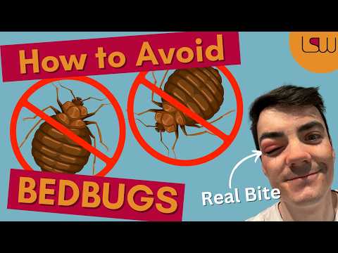 How to NEVER have BEDBUGS while traveling (DON'T learn the hard way)