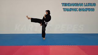 SERANGAN KAKI PENCAK SILAT