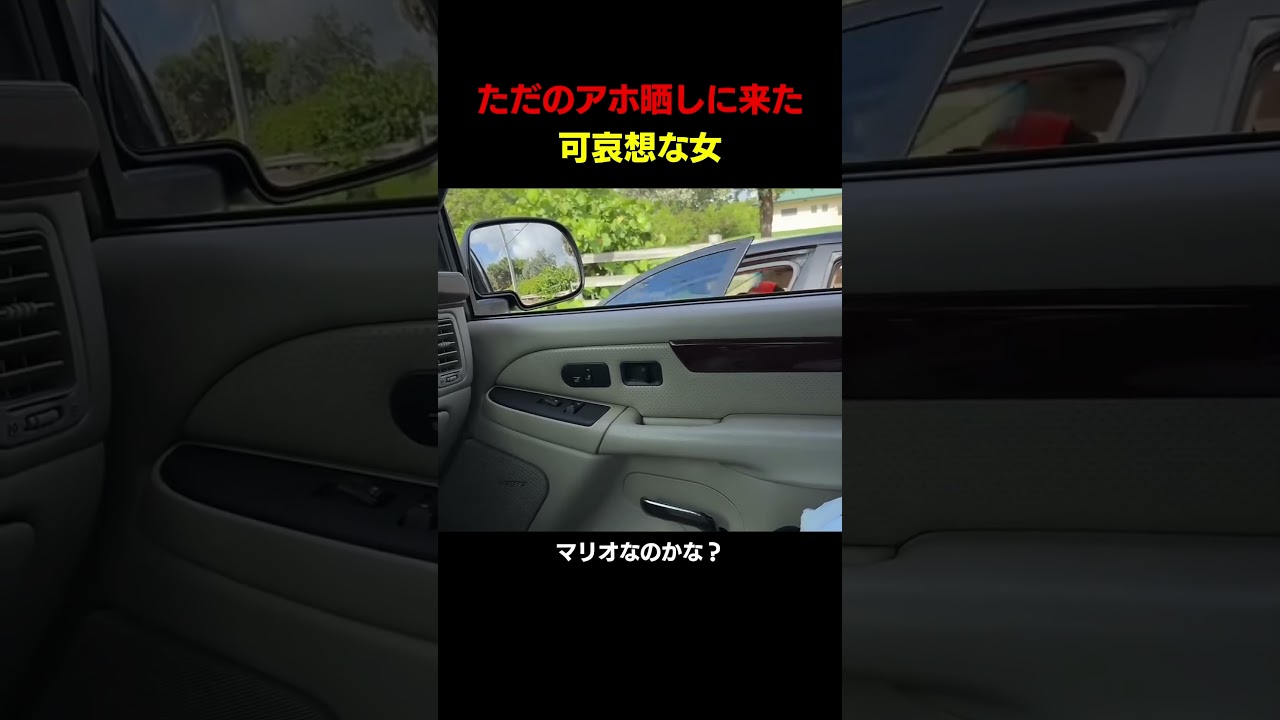 【鬼スカッと】サイドブレーキをかけずに降りてきたアホがスカッとサすぎるｗｗ#shortvideo #youtubeshorts #shorts