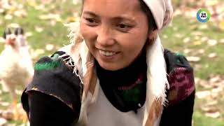 видео: Кыргызстан – родина грецкого ореха  Греки забрали славу картинка: Кыргызстан – родина грецкого ореха  Греки забрали славу