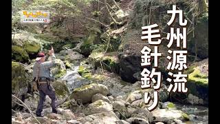 【源流釣り】九州源流毛針釣り　 #フライフィッシング  #イワナ #源流釣り