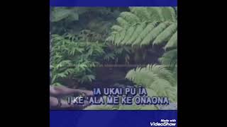 Akaka Falls K.