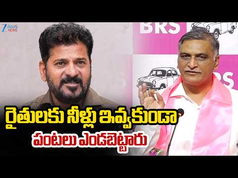 Harish Rao Fire On Congress Party | రైతులకు నీళ్లు ఇవ్వకుండా పంటలు ఎండబెట్టారు | ZEE Telugu News - ZEE24TELUGUNEWS