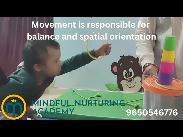 Vestibular Movements