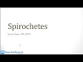 Infectious Diseases 2 Bacteria 6 Spirochetes atf
