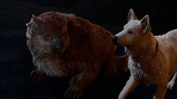 SovietWomble Streams [with Chat] - Baldur