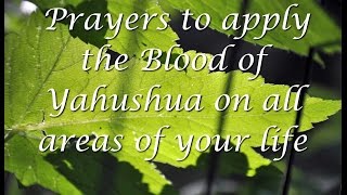 Download Lagu Apply the Blood of Yeshua to Heal All Areas of your Life MP3