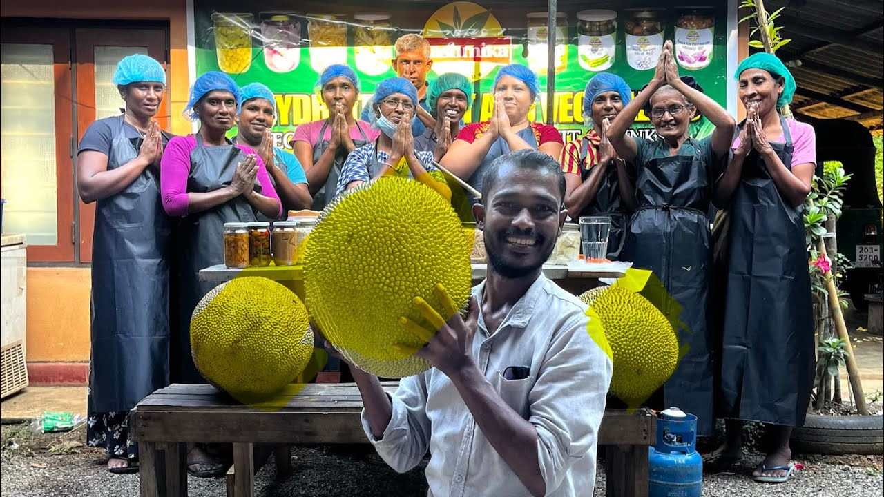 🇱🇰USD කැන්දන බත් ගහ. 💰