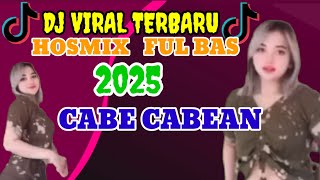 Download Lagu DJ VIRAL HOSMIX | CABE CABEAN MP3